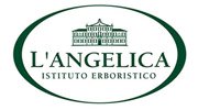 LANGELICA