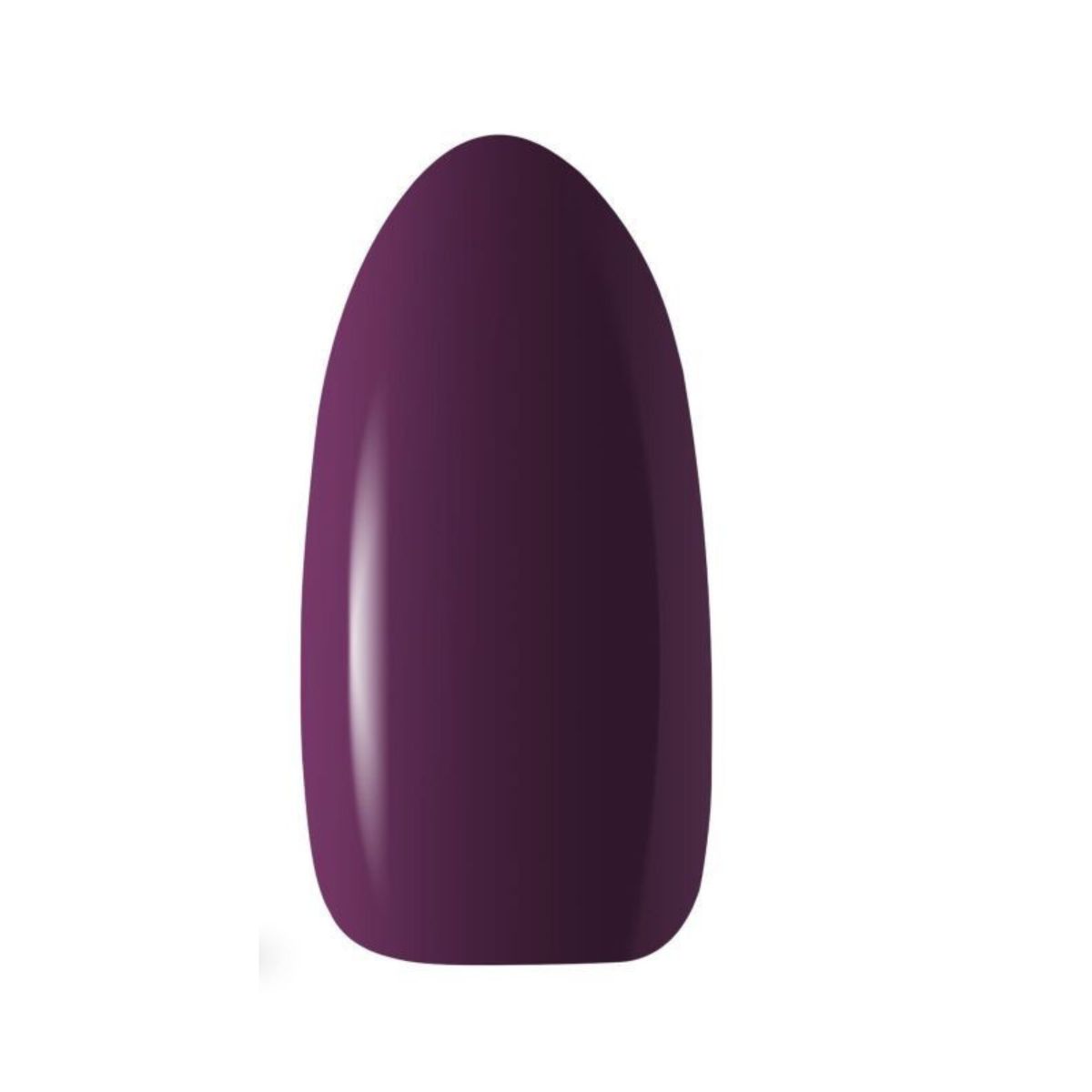 Purple 621