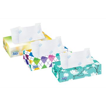 Regina papirne maramice Decorato 100/2
