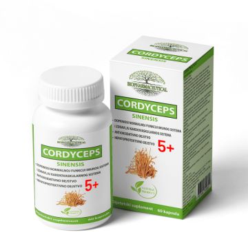 Cordyceps Sinensis 5+