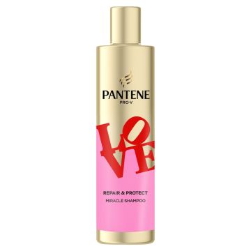 Panten Pro-V x Robert Indijana Repair & Protect Miracle šampon 250 ml