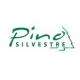 PINO SILVESTRE