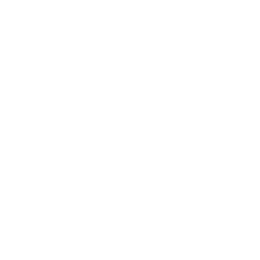 Službeni automobil
