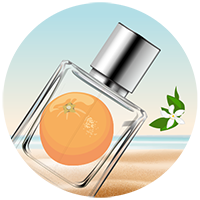 Citrusna