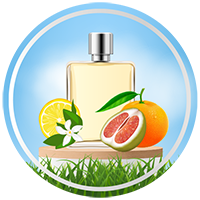 Citrusna